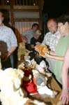 img_0332